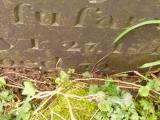 image of grave number 647462